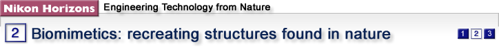 2. Biomimetics: recreating structures found in nature