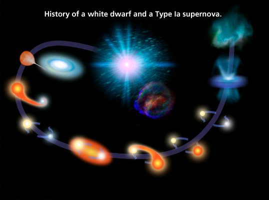History of a white dwarf and a Type Ia supernova