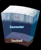 Cross-section of sea ice and water