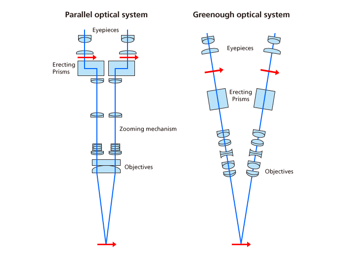 Optical systems of stereoscopic microscope