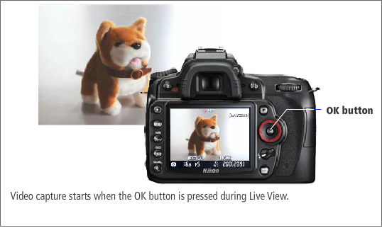 Live View is activated as the video function. The mirror is raised and the image is displayed on the LCD. Video capture starts when the OK button is pressed during Live View.