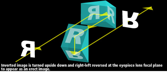 An inverted image passing through the porro prism system is again inverted and right-left reversed at the eyepiece lens focal plane to appear corrected.