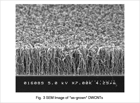 Fig.3 SEM Image of "as-grown" DWCNTs
