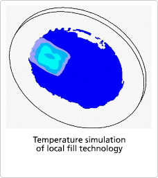 Temperature simulation of local fill technology