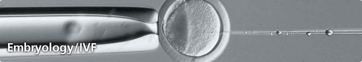 Embryology/IVF