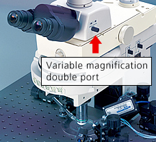 Variable magnification double port