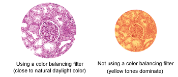 Effect of a color balancing filter