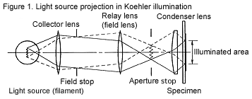 Figure 1. Light source projection in Koehler illumination