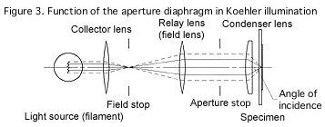 Figure 3. Function of the aperture diaphragm in Koehler illumination