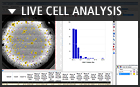 Live cell analysis