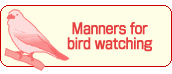 Manners for bird watching