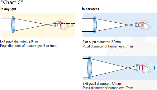 Chart C